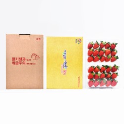 딸기 설향 특품 750g 30구 논산 농협